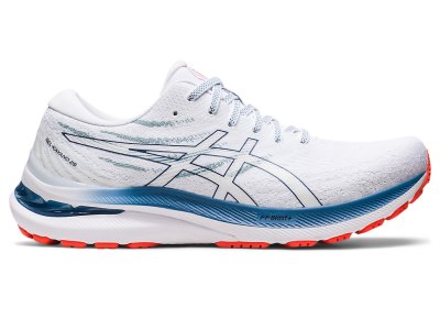 Tenis Para Correr Asics Gel-kayano 29 Hombre Blancos Azules | MX3284-380